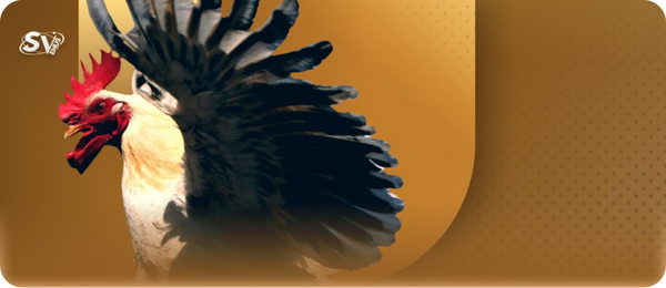 Khám Phá BJ88 – Nhà Cái Cá Cược Trực Tuyến Đẳng Cấp Nhất Việt Nam 19 1