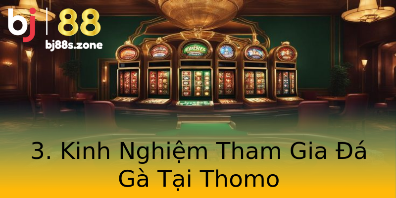 3. Kinh Nghiệm Tham Gia Đá Gà Tại Thomo 3. Kinh Nghiệm Tham Gia Đá Gà Tại Thomo