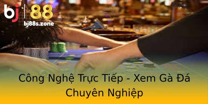Công Nghệ Trực Tiếp - Xem Gà Đá Chuyên Nghiệp Công Nghệ Trực Tiếp - Xem Gà Đá Chuyên Nghiệp