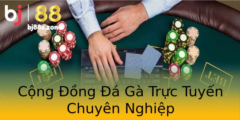 Cộng Đồng Đá Gà Trực Tuyến Chuyên Nghiệp Cộng Đồng Đá Gà Trực Tuyến Chuyên Nghiệp