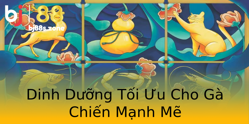 Dinh Dưỡng Tối Ưu Cho Gà Chiến Mạnh Mẽ Dinh Dưỡng Tối Ưu Cho Gà Chiến Mạnh Mẽ