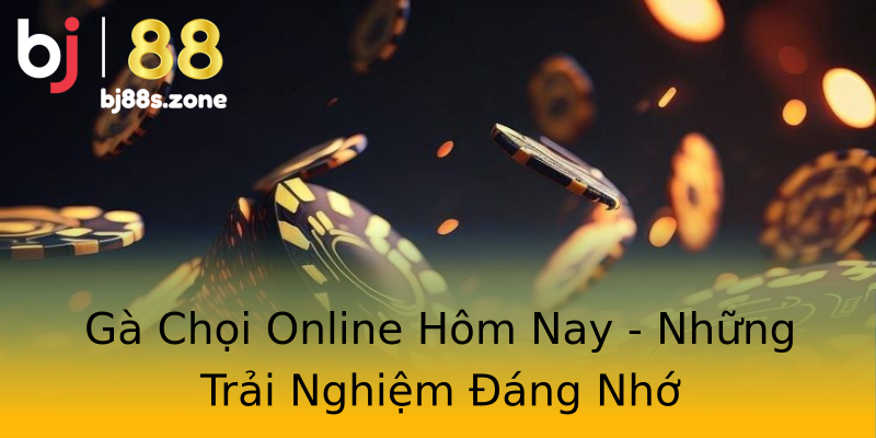 Gà Chọi Online Hôm Nay - Những Trải Nghiệm Đáng Nhớ Gà Chọi Online Hôm Nay - Những Trải Nghiệm Đáng Nhớ