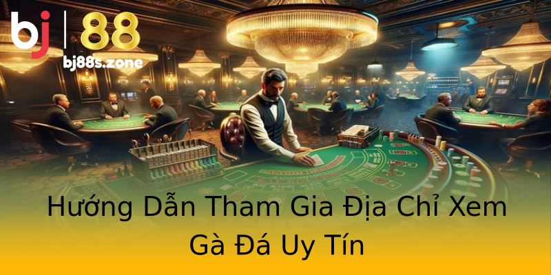 Hướng Dẫn Tham Gia Địa Chỉ Xem Gà Đá Uy Tín Hướng Dẫn Tham Gia Địa Chỉ Xem Gà Đá Uy Tín