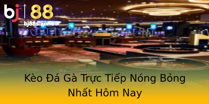 Kèo Đá Gà Trực Tiếp Nóng Bỏng Nhất Hôm Nay Kèo Đá Gà Trực Tiếp Nóng Bỏng Nhất Hôm Nay