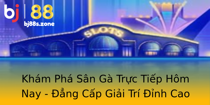 Khám Phá Sân Gà Trực Tiếp Hôm Nay - Đẳng Cấp Giải Trí Đỉnh Cao Khám Phá Sân Gà Trực Tiếp Hôm Nay - Đẳng Cấp Giải Trí Đỉnh Cao