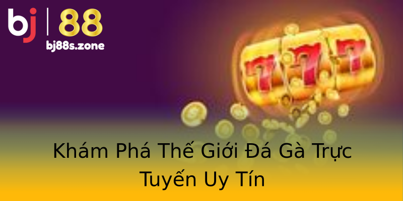 Khám Phá Thế Giới Đá Gà Trực Tuyến Uy Tín Khám Phá Thế Giới Đá Gà Trực Tuyến Uy Tín