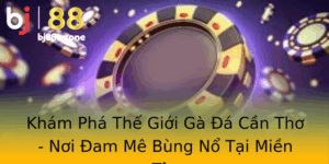 Kham Pha The Gioi Ga A Can Tho Noi Am Me Bung No Tai Mien Tay