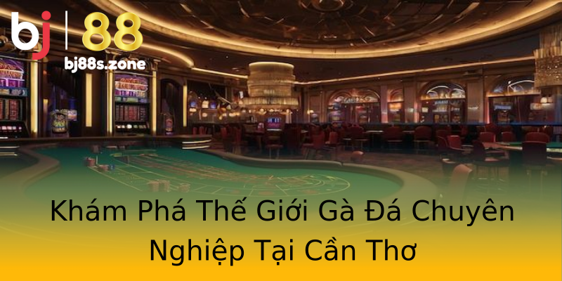 Khám Phá Thế Giới Gà Đá Chuyên Nghiệp Tại Cần Thơ Khám Phá Thế Giới Gà Đá Chuyên Nghiệp Tại Cần Thơ