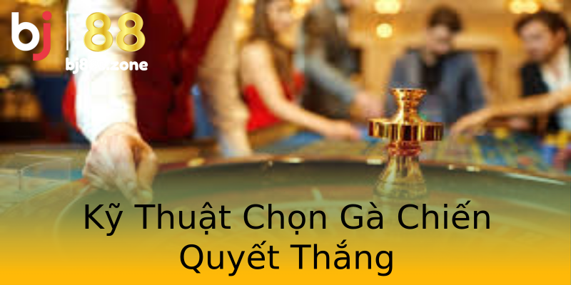 Kỹ Thuật Chọn Gà Chiến Quyết Thắng Kỹ Thuật Chọn Gà Chiến Quyết Thắng
