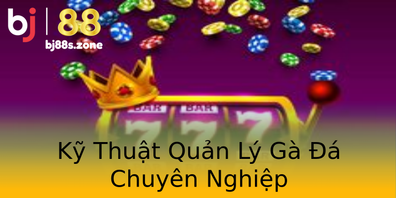 Kỹ Thuật Quản Lý Gà Đá Chuyên Nghiệp Kỹ Thuật Quản Lý Gà Đá Chuyên Nghiệp