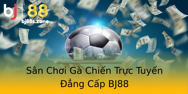 Sân Chơi Gà Chiến Trực Tuyến Đẳng Cấp BJ88 Sân Chơi Gà Chiến Trực Tuyến Đẳng Cấp BJ88