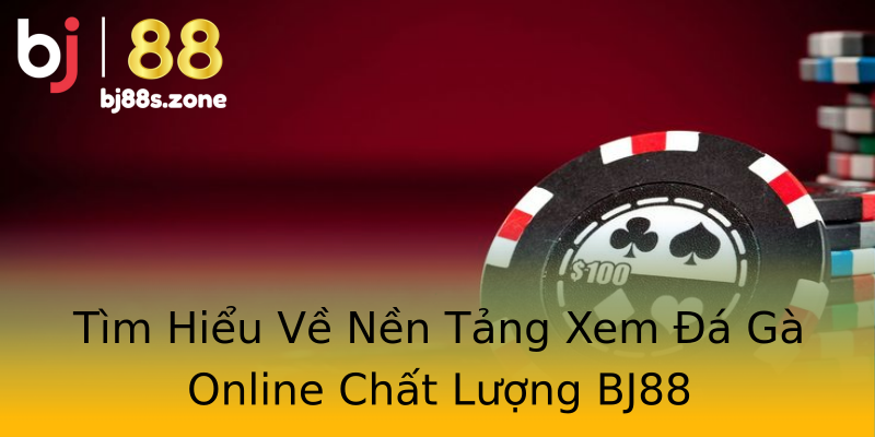 Tìm Hiểu Về Nền Tảng Xem Đá Gà Online Chất Lượng BJ88 Tìm Hiểu Về Nền Tảng Xem Đá Gà Online Chất Lượng BJ88