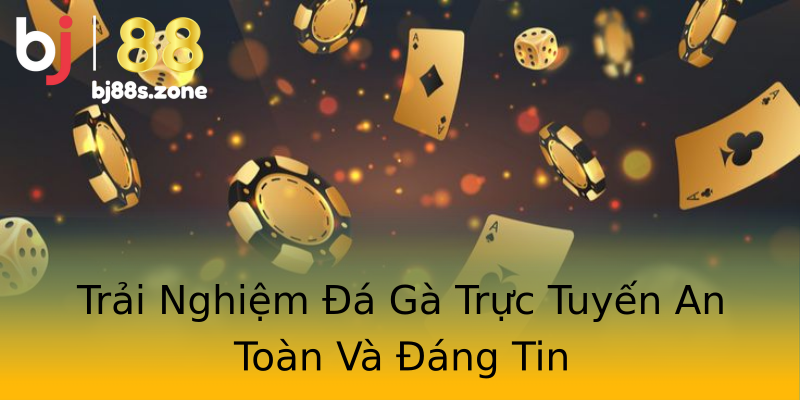 Trải Nghiệm Đá Gà Trực Tuyến An Toàn Và Đáng Tin Trải Nghiệm Đá Gà Trực Tuyến An Toàn Và Đáng Tin