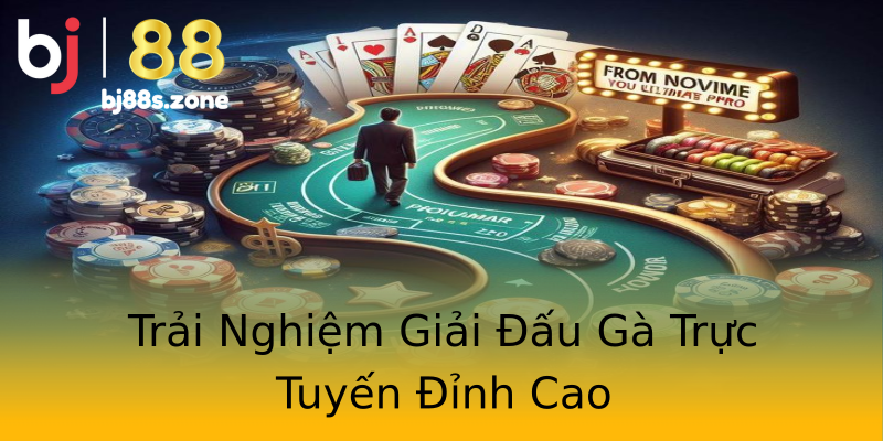 Trải Nghiệm Giải Đấu Gà Trực Tuyến Đỉnh Cao Trải Nghiệm Giải Đấu Gà Trực Tuyến Đỉnh Cao