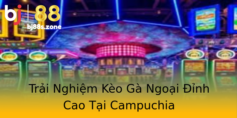 Trải Nghiệm Kèo Gà Ngoại Đỉnh Cao Tại Campuchia Trải Nghiệm Kèo Gà Ngoại Đỉnh Cao Tại Campuchia