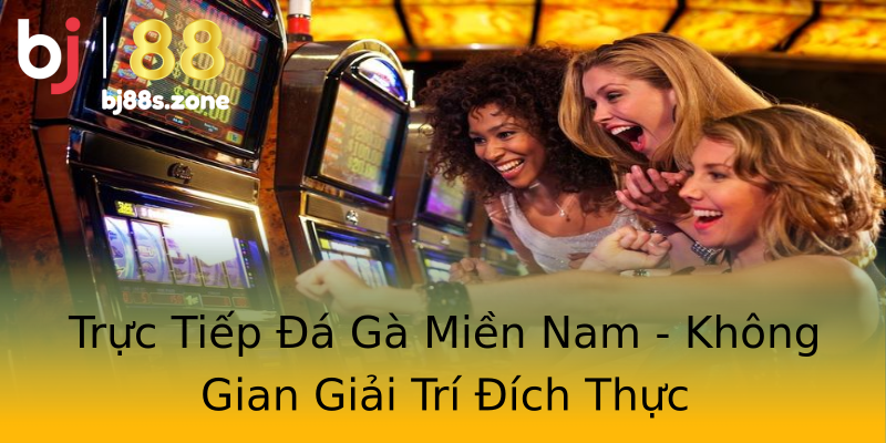 Trực Tiếp Đá Gà Miền Nam - Không Gian Giải Trí Đích Thực Trực Tiếp Đá Gà Miền Nam - Không Gian Giải Trí Đích Thực