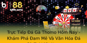 Truc Tiep A Ga Thomo Hom Nay Kham Pha Am Me Va Van Hoa A Ga Tai Viet Nam