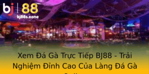 Xem A Ga Truc Tiep Bj88 Trai Nghiem Inh Cao Cua Lang A Ga Online