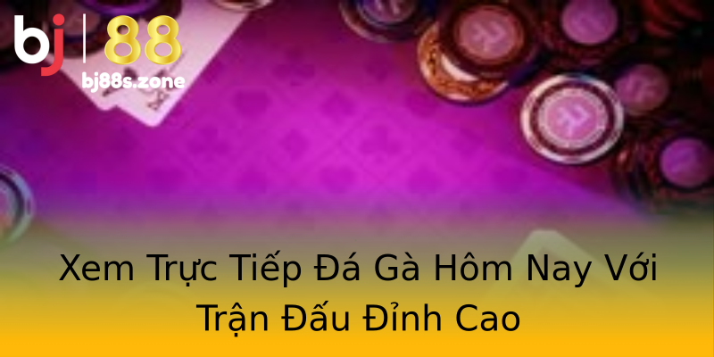 Xem Trực Tiếp Đá Gà Hôm Nay Với Trận Đấu Đỉnh Cao Xem Trực Tiếp Đá Gà Hôm Nay Với Trận Đấu Đỉnh Cao